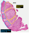 Figure 5