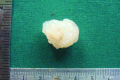 [Table/Fig-3]: