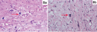 [Table/Fig-8a,b]: