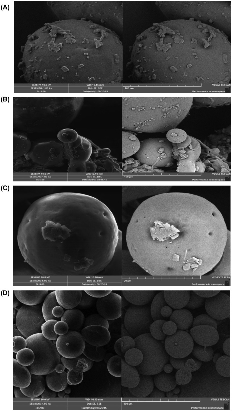 Figure 14.