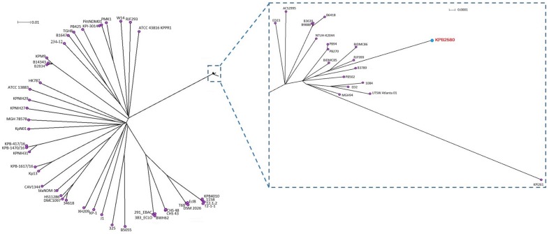 Figure 5.