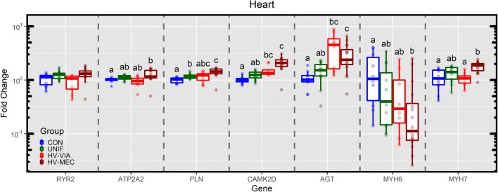 Figure 6