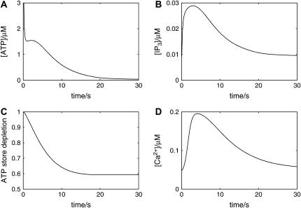 FIGURE 2