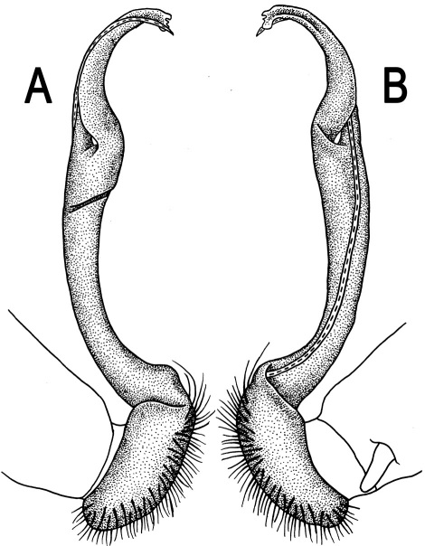 Figure 40.