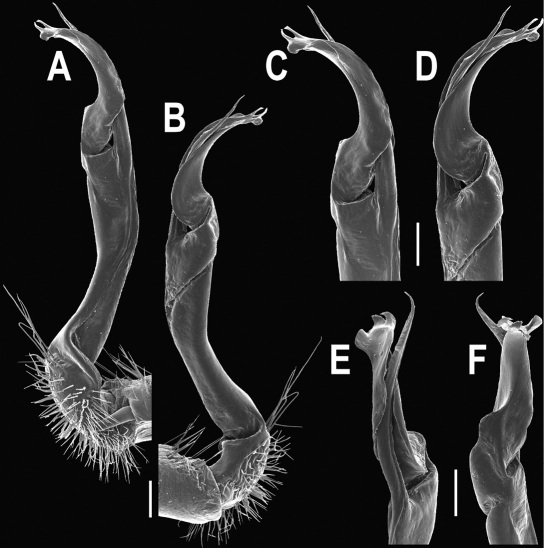 Figure 60.