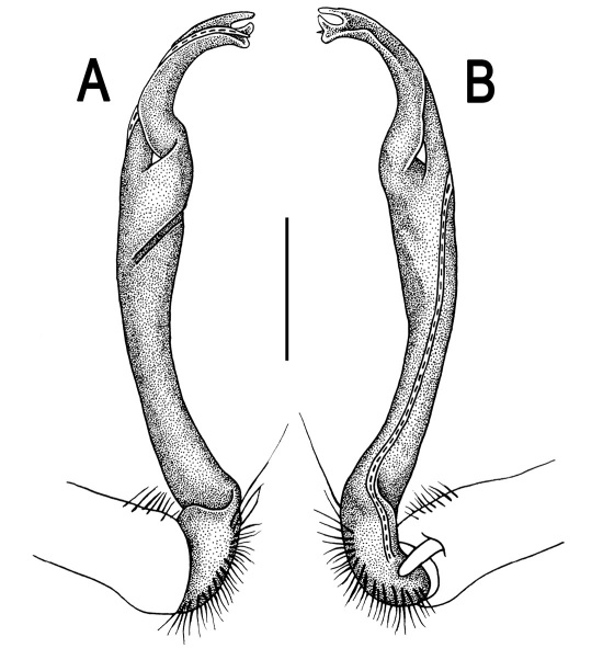 Figure 111.