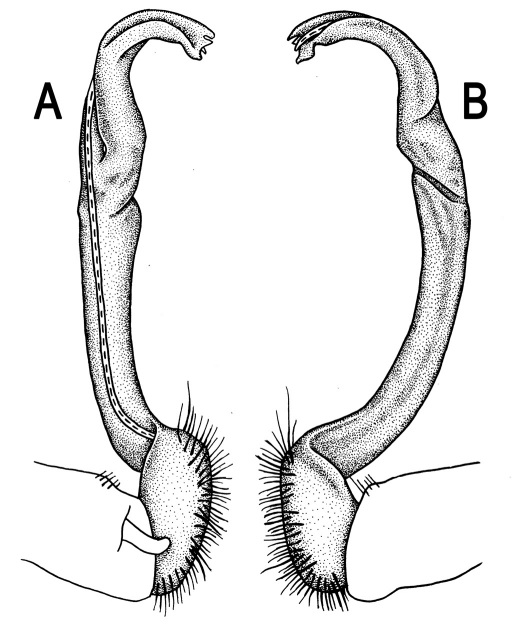 Figure 52.