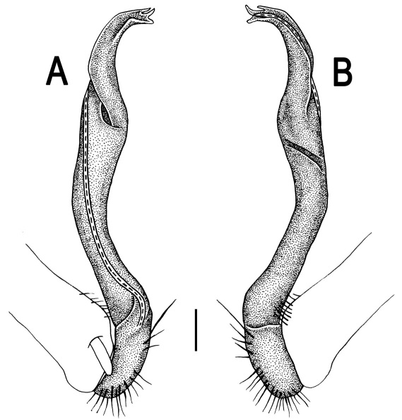 Figure 105.