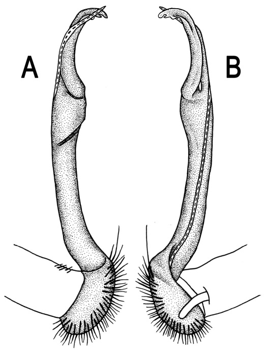 Figure 48.