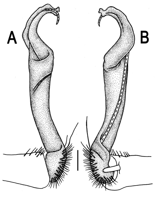 Figure 36.