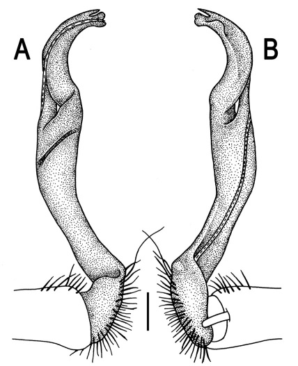 Figure 73.