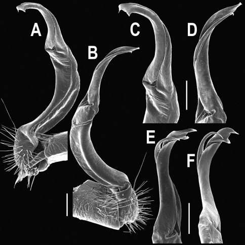 Figure 26.