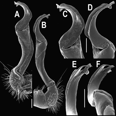 Figure 29.