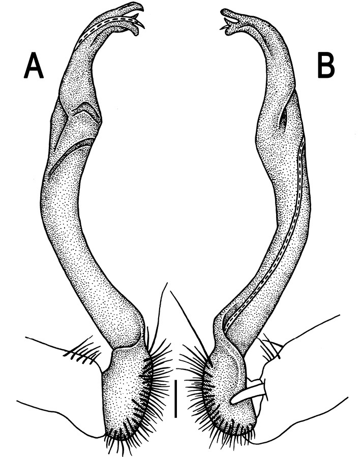 Figure 80.