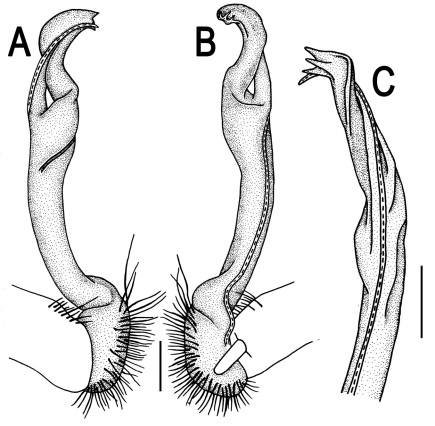 Figure 54.