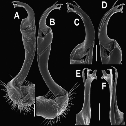 Figure 110.