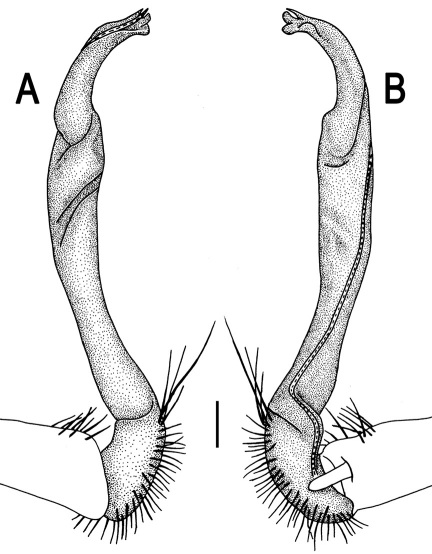 Figure 61.