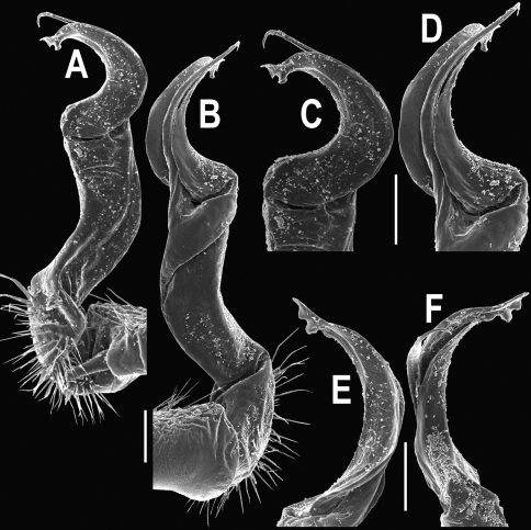 Figure 23.