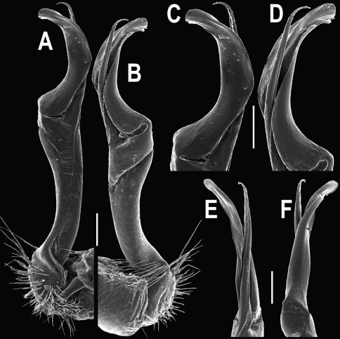 Figure 17.