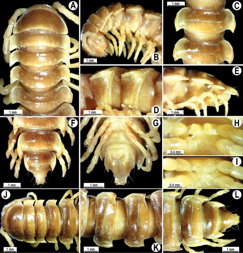 Figure 45.