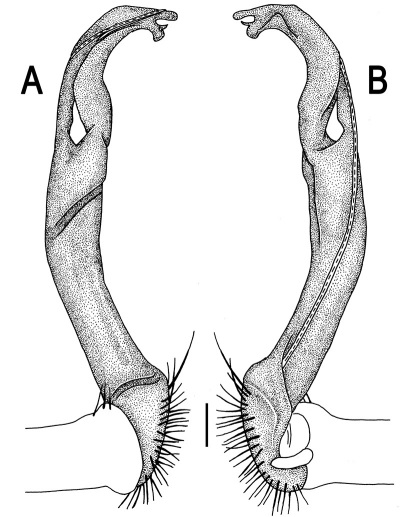 Figure 78.