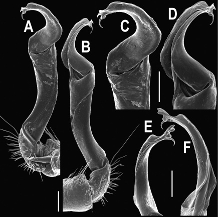 Figure 35.