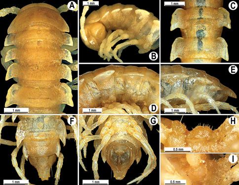 Figure 112.