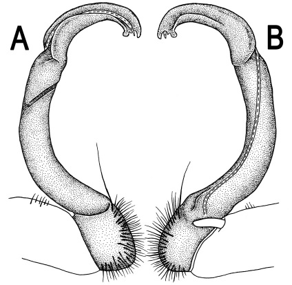 Figure 63.