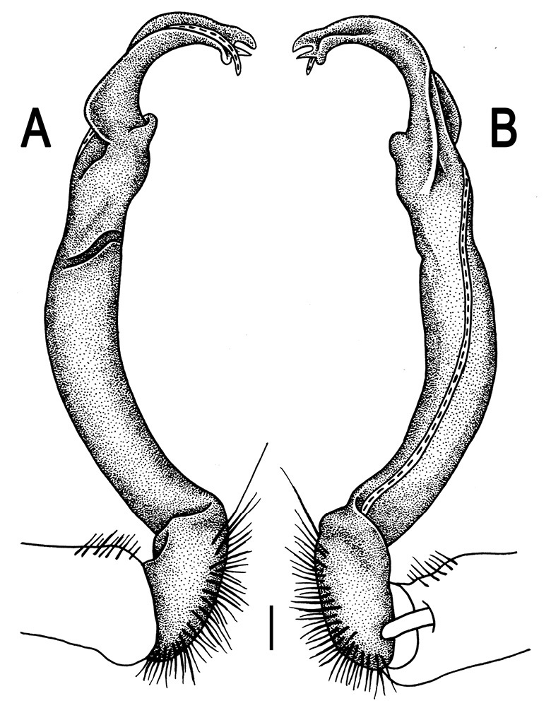 Figure 88.