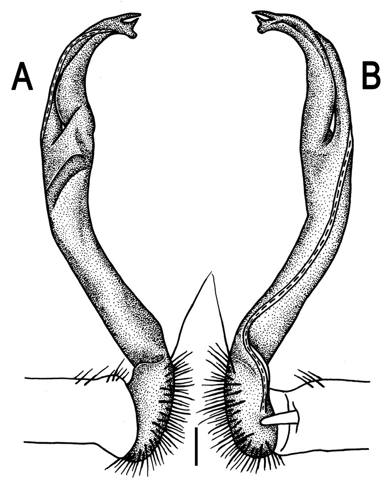 Figure 83.