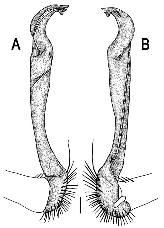 Figure 96.