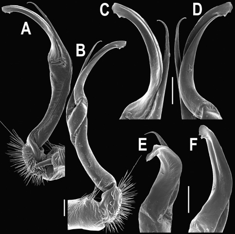 Figure 14.