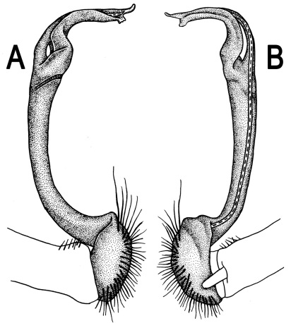 Figure 10.