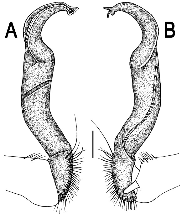 Figure 24.