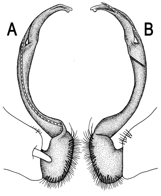 Figure 38.