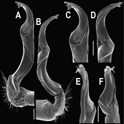 Figure 107.