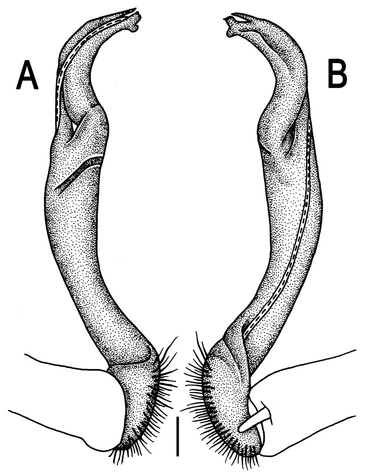 Figure 66.