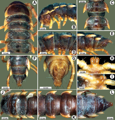 Figure 53.