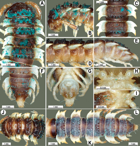 Figure 22.