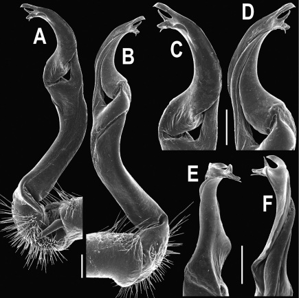 Figure 104.