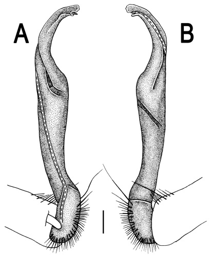 Figure 21.