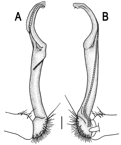 Figure 15.