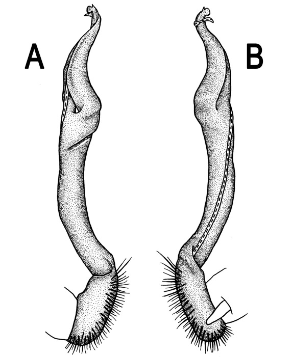 Figure 8.