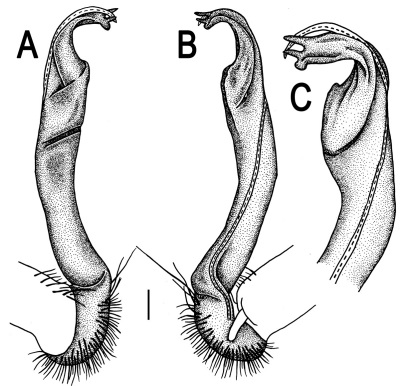 Figure 56.