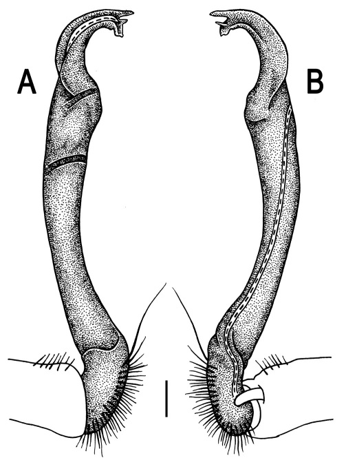 Figure 94.