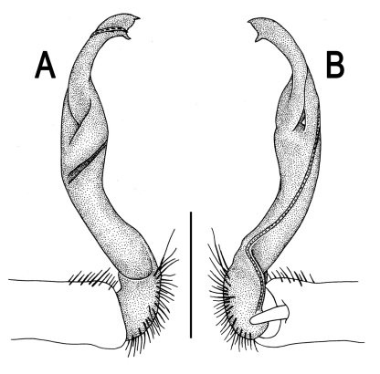 Figure 12.