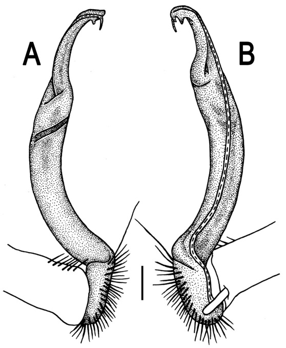 Figure 27.