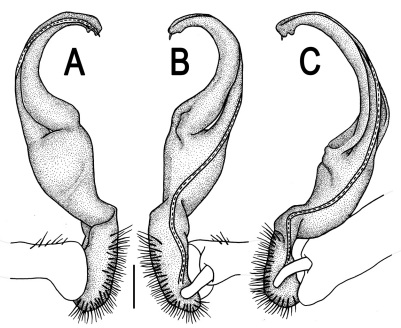 Figure 113.