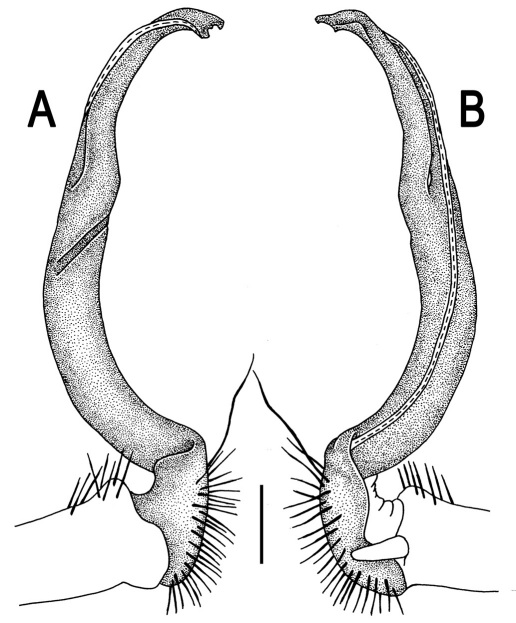 Figure 99.