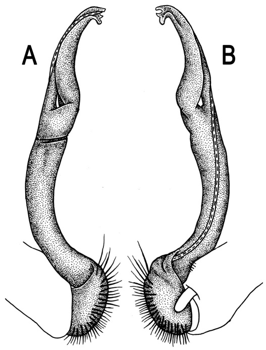 Figure 46.